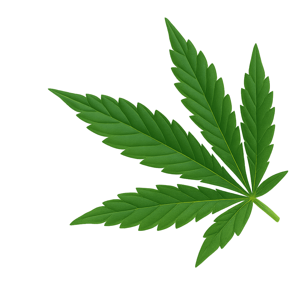 Cannabis Leaf Decoration Left